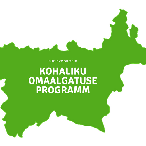 2018. aastal toetati Võru maakonna ühinguid Kohaliku omaalgatuse programmist (KOP) 58 439 euroga